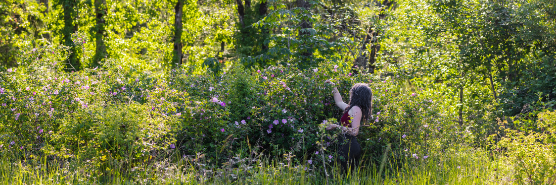 Listening to Nature's Whisper