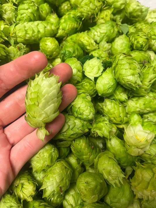Hops