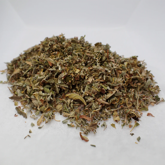 Damiana