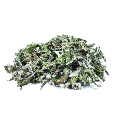 Mugwort