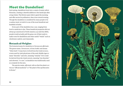 Dandelion Medicine