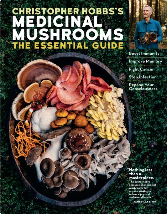 Medicinal Mushrooms: The Essential Guide